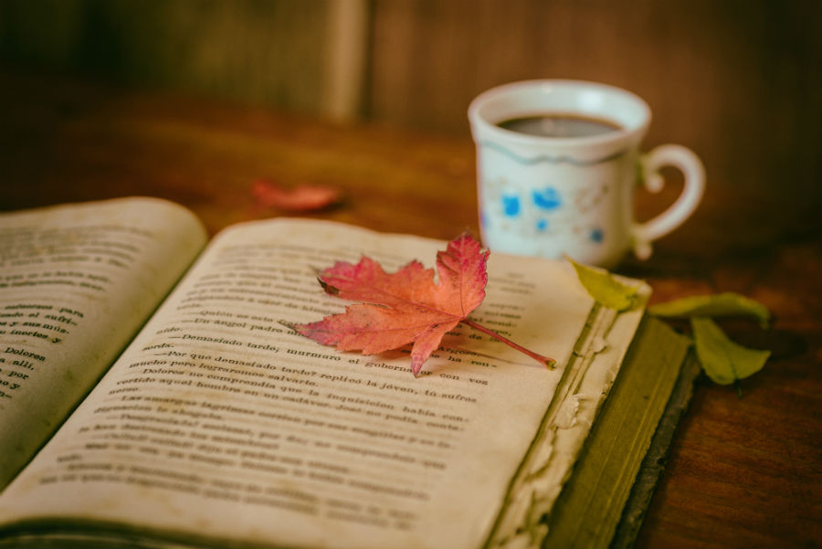 Paraná, Rosa de Otoño: una serie de actividades para disfrutar la Semana de la Lectura